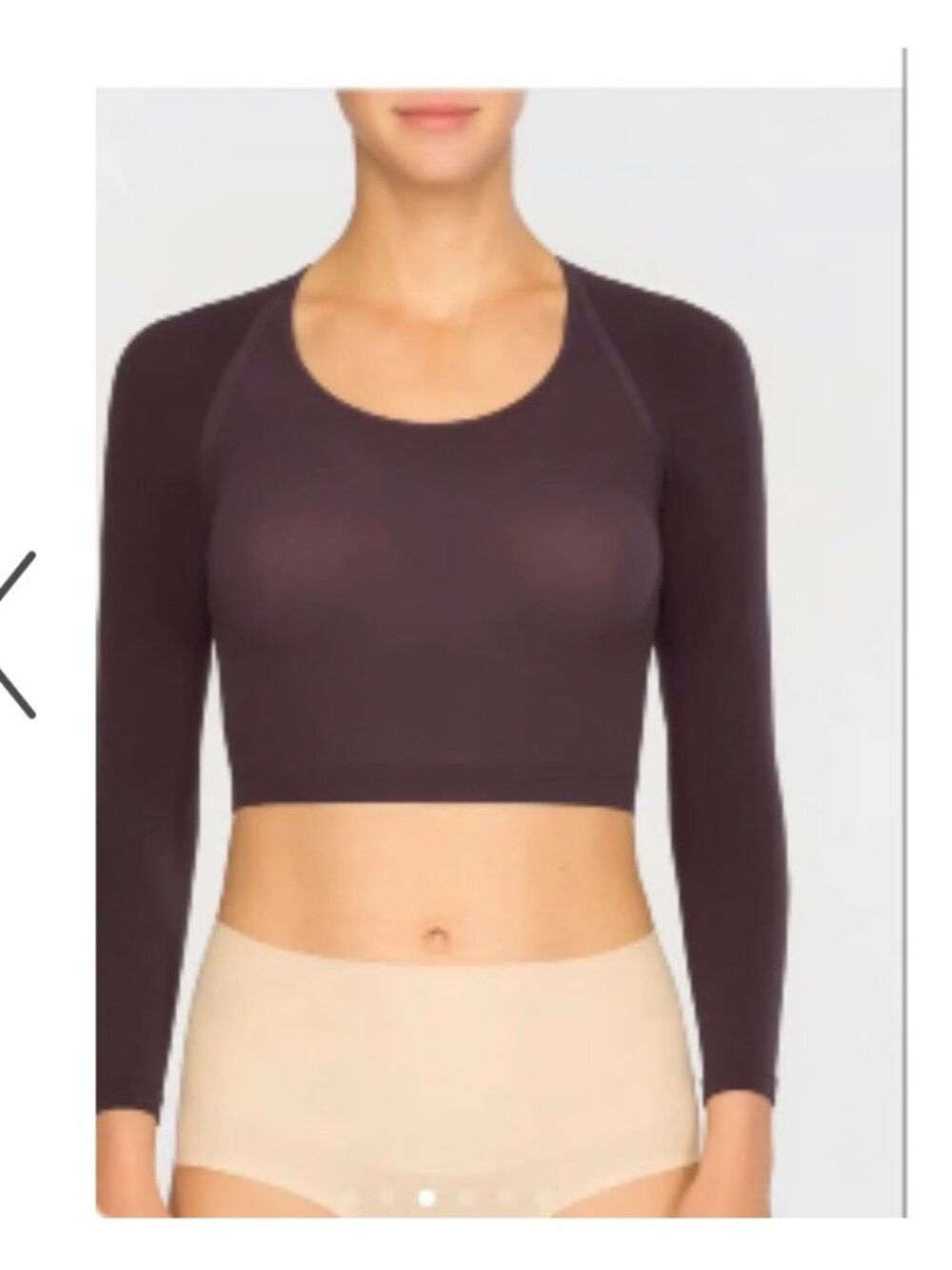 Spanx Arm Tights